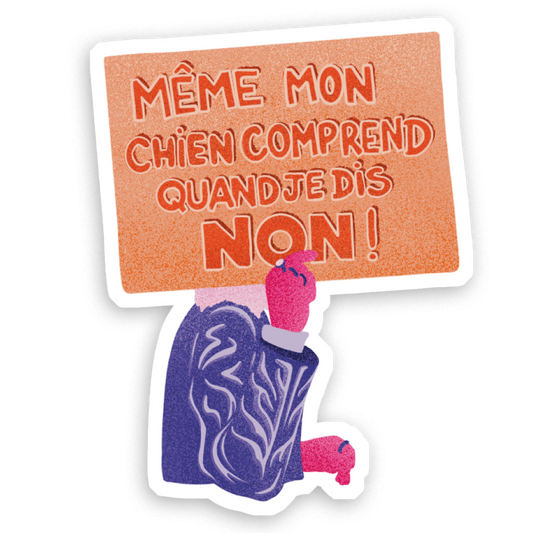 Stickers Holographique Même mon chien comprend quand je dis non