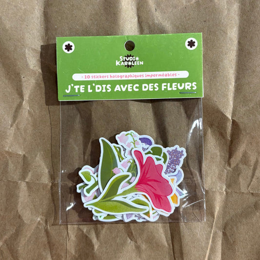 Packung mit 10 holografischen Insekten-Ocollant-Aufklebern