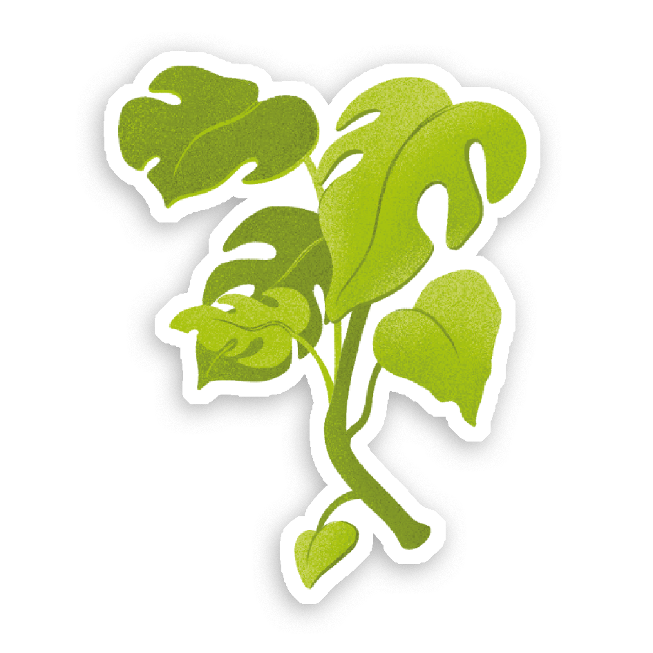 Sticker Holographique J'te le dis avec des fleurs au choix