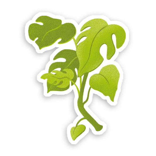 Holografische Milchshake-Aufkleber