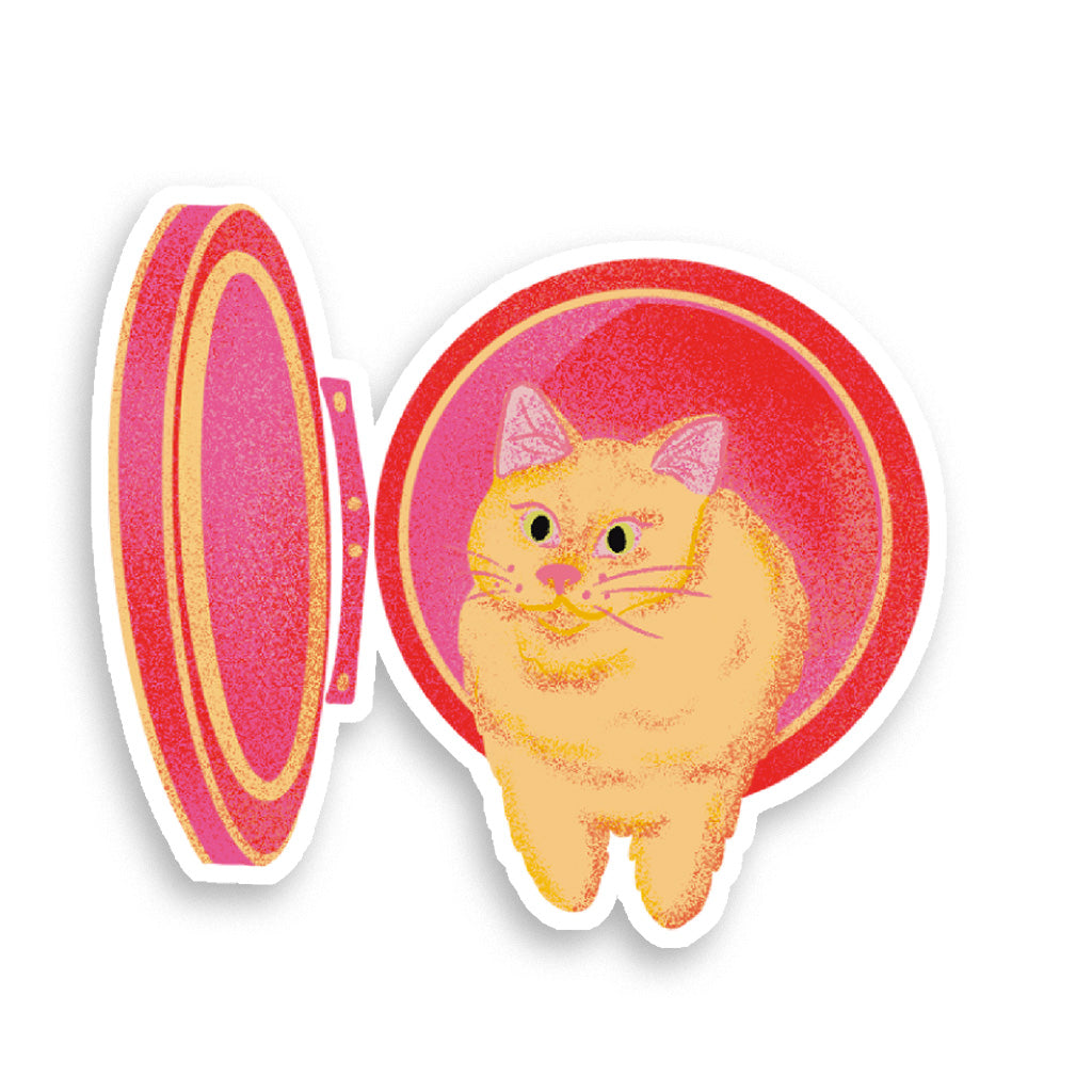 Holographic Kitty washer stickers